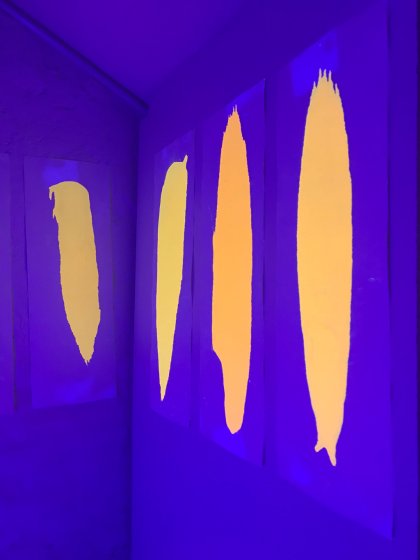 Katharina Holl, Hesse Class, Prof. Klaus Hesse