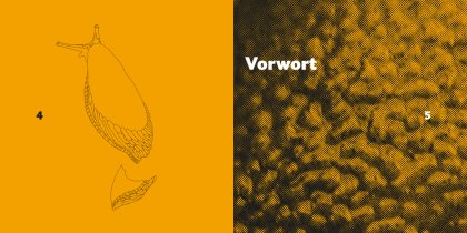 Katharina Holl, Hesse Class, Prof. Klaus Hesse