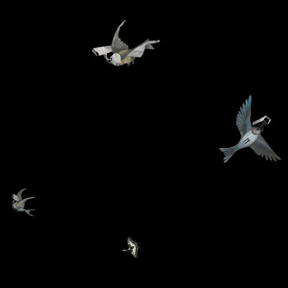 Wallpaper by Felix Werner, Prof. Klaus Hesse