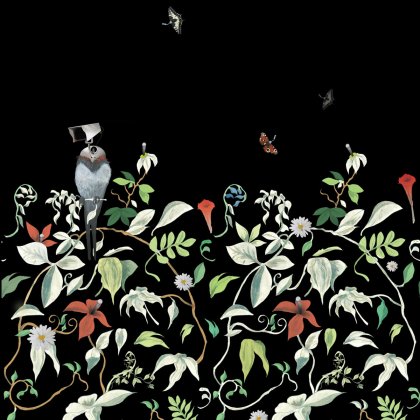 Wallpaper by Felix Werner, Prof. Klaus Hesse