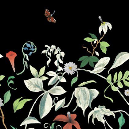 Wallpaper by Felix Werner, Prof. Klaus Hesse