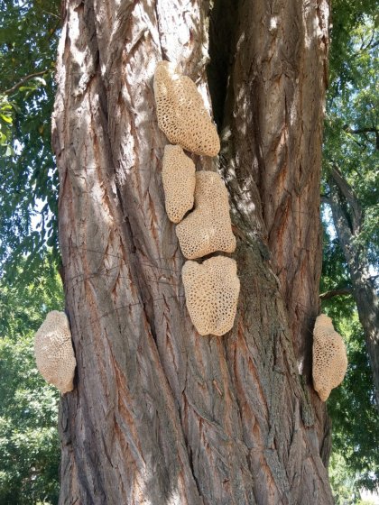 Ceramic sculptures by Felicithas Arndt ©2020 Ceramic sculptures by Felicithas Arndt ©2020