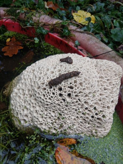 Ceramic sculptures by Felicithas Arndt ©2020 Ceramic sculptures by Felicithas Arndt ©2020