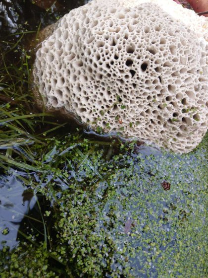 Ceramic sculptures by Felicithas Arndt ©2020 Ceramic sculptures by Felicithas Arndt ©2020