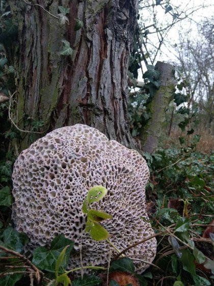 Ceramic sculptures by Felicithas Arndt ©2020 Ceramic sculptures by Felicithas Arndt ©2020