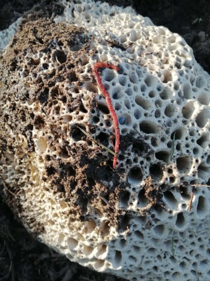 Ceramic sculptures by Felicithas Arndt ©2020 Ceramic sculptures by Felicithas Arndt ©2020