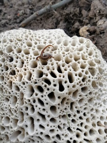 Ceramic sculptures by Felicithas Arndt ©2020 Ceramic sculptures by Felicithas Arndt ©2020