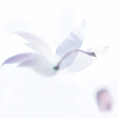 Manuela Olten Klasse Hesse