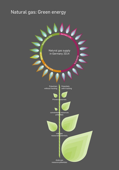 Fracking by Astrid Wolter Prof. Klaus Hesse