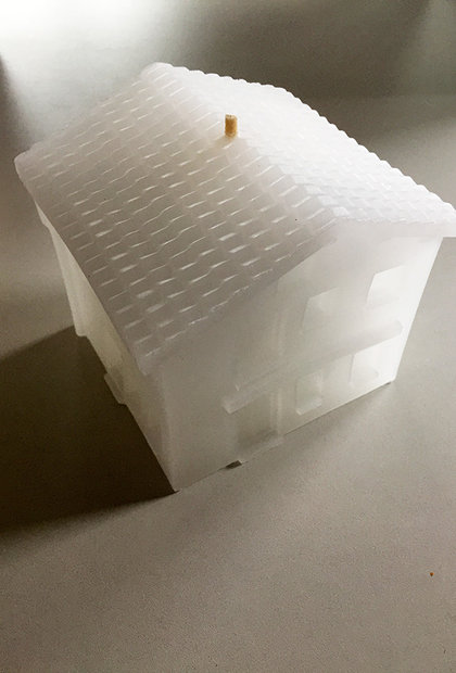 Xia Li Burning homes Prof. Klaus Hesse