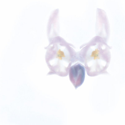 Alexandra Buhl Klasse Hesse