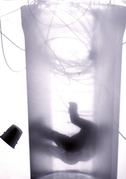 Evelyin Jenkins Klasse Hesse