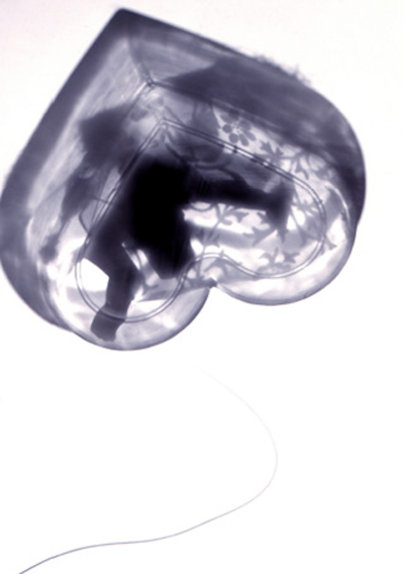 Evelyin Jenkins Klasse Hesse