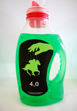 nayeon lee minor degree prof. klaus hesse