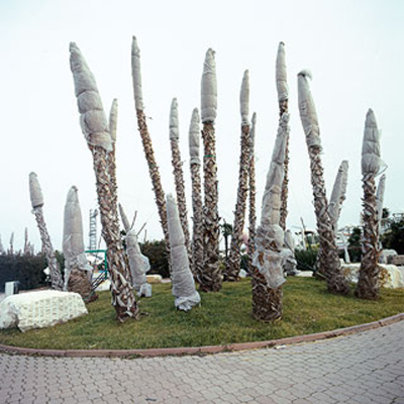 Manuela Olten Klasse Hesse