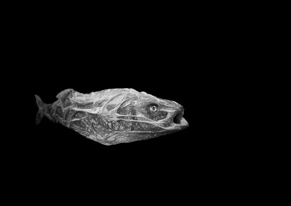 Collapse by Felix Werner, Prof. Klaus Hesse