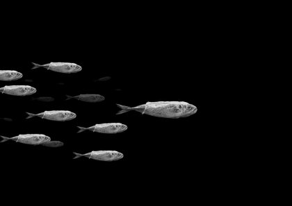 Collapse by Felix Werner, Prof. Klaus Hesse