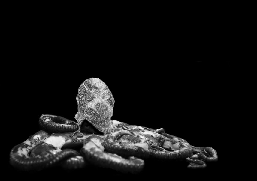 Collapse by Felix Werner, Prof. Klaus Hesse