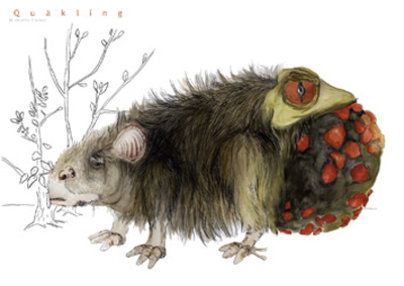 Agnes Kalla Klasse Hesse