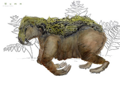 Agnes Kalla Klasse Hesse