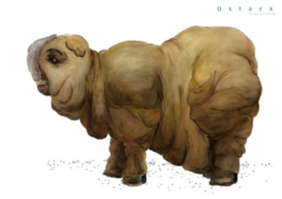 Agnes Kalla Klasse Hesse