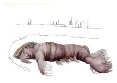 Agnes Kalla Klasse Hesse