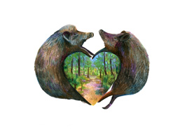 Fabia Pospischil Klasse Hesse