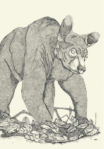 Magdalena Fournillier Klasse Hesse