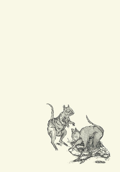 Magdalena Fournillier Klasse Hesse