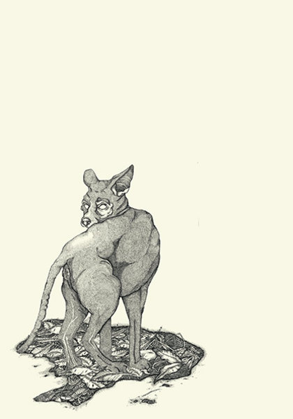 Magdalena Fournillier Klasse Hesse