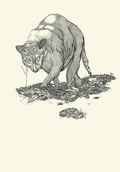 Magdalena Fournillier Klasse Hesse