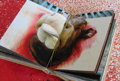 Klasse Hesse Stefan Kunkel