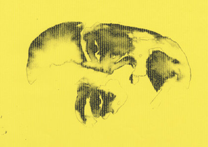 Lara Hies Pre degree Klasse Hesse