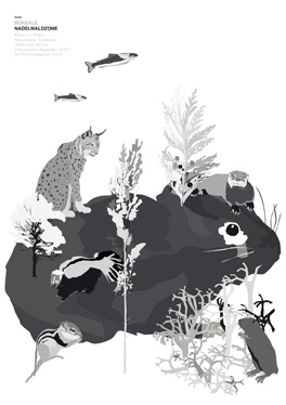 Sophia Preussner Klasse Hesse