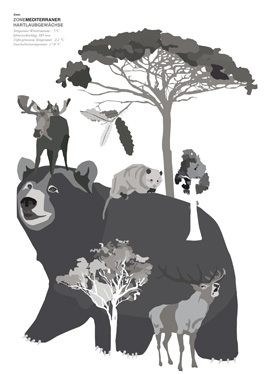 Sophia Preussner Klasse Hesse