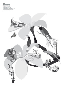 Sophia Preussner Klasse Hesse