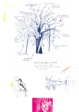 Marina Kampka Klasse Hesse