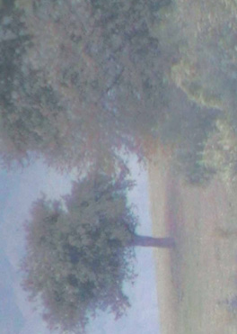 Marina Kampka Klasse Hesse