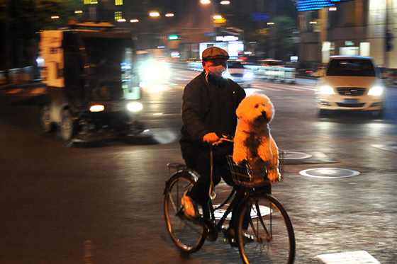 China Excursion Prof. Klaus Hesse 2013