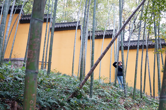 China Excursion Prof. Klaus Hesse 2013