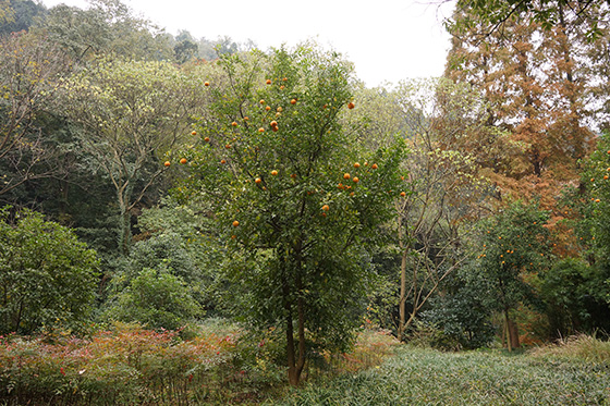 China Excursion Prof. Klaus Hesse 2013