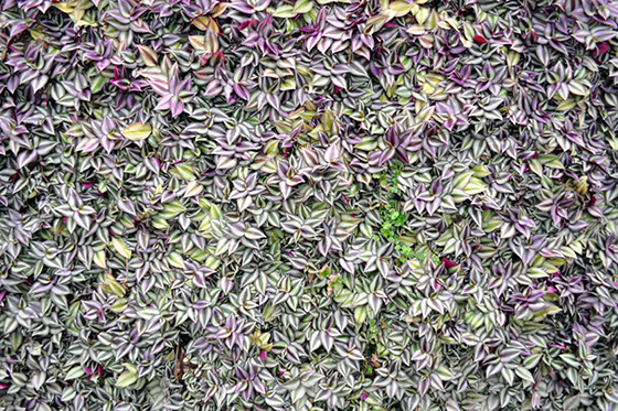 China Excursion Prof. Klaus Hesse 2013