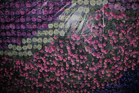 China Excursion Prof. Klaus Hesse 2013