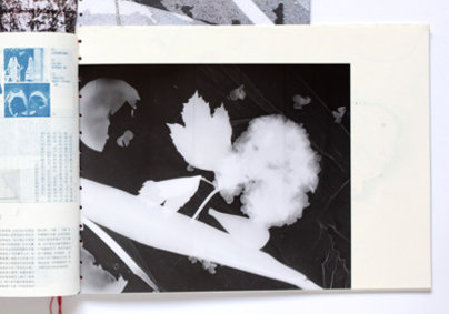 Workshop Lu Jingren Klasse Hesse