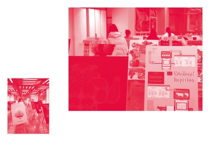 Making Crisis Tasty, Prof. Klaus Hesse