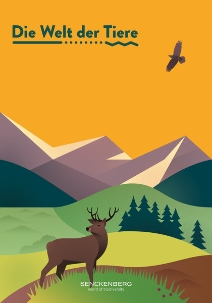 Course folder for children of the Senckenberg Museum, INK, Prof. Klaus Hesse