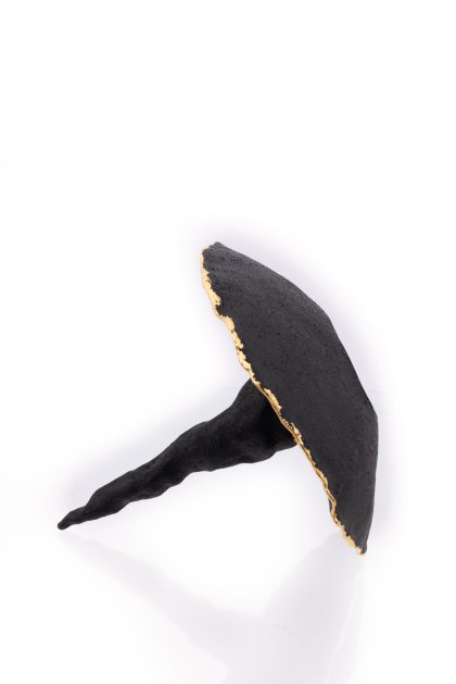 Senckenberg Preis, Prof. Klaus Hesse Senckenberg Preis, Prof. Klaus Hesse