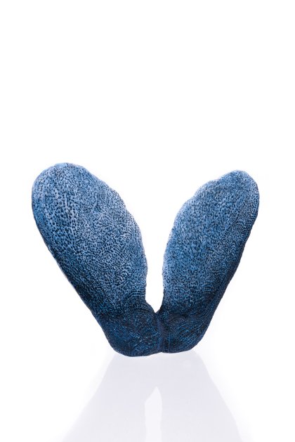 Senckenberg Preis, Prof. Klaus Hesse Senckenberg Preis, Prof. Klaus Hesse