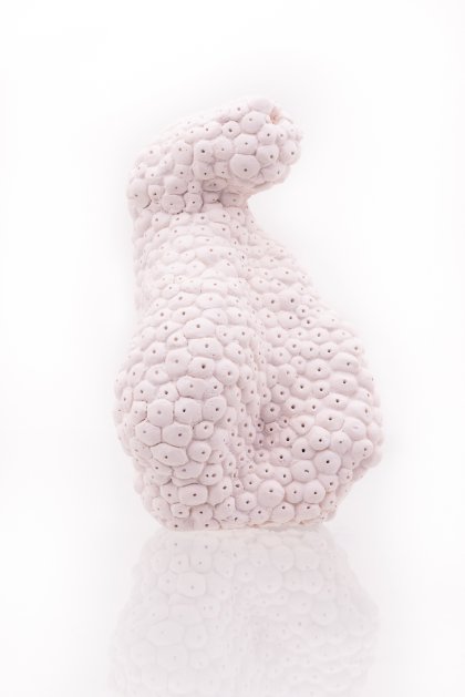 Senckenberg Preis, Prof. Klaus Hesse Senckenberg Preis, Prof. Klaus Hesse