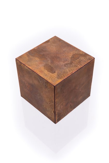 Senckenberg Preis, Prof. Klaus Hesse Senckenberg Preis, Prof. Klaus Hesse